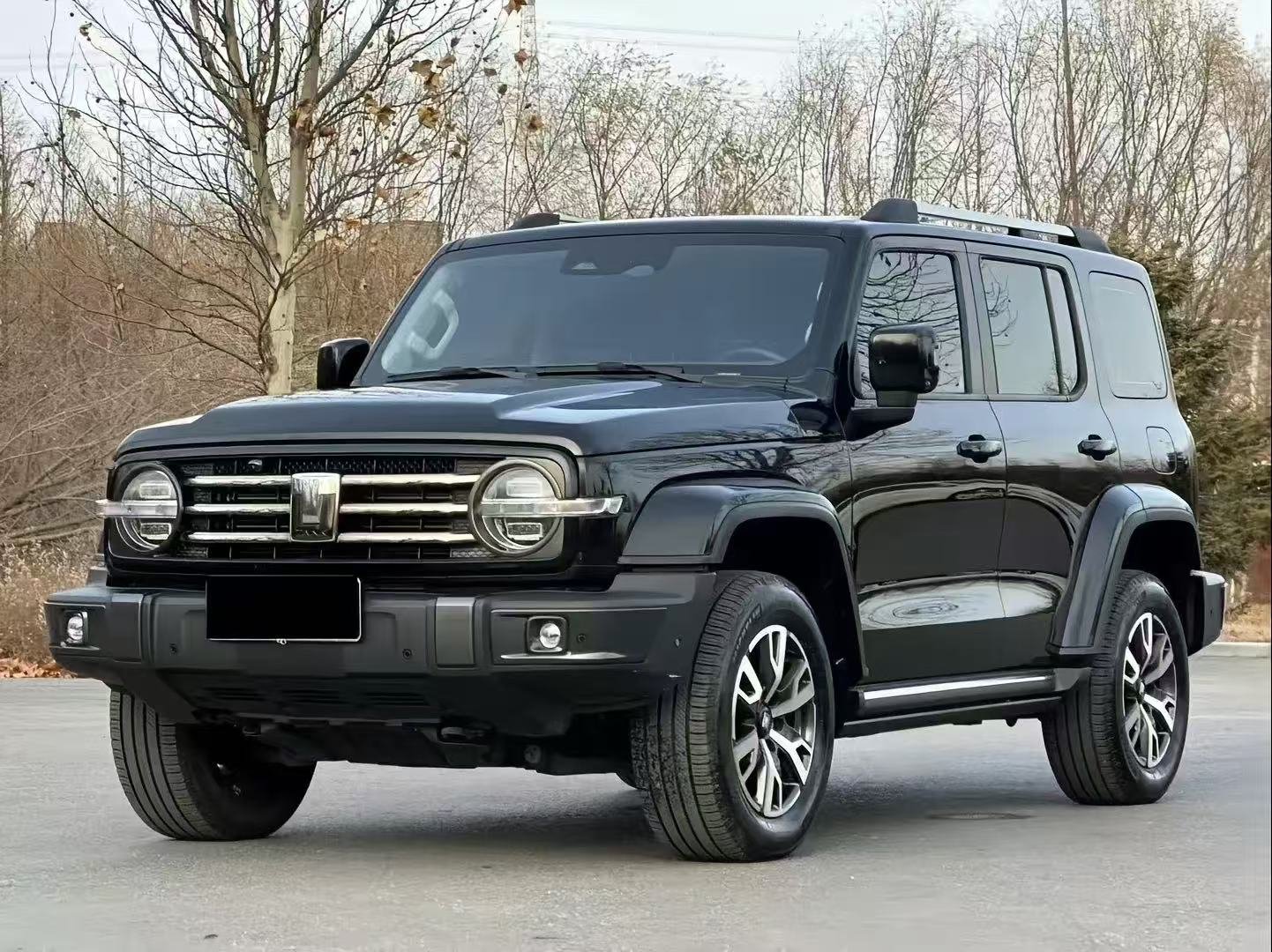 2023 Tank 300