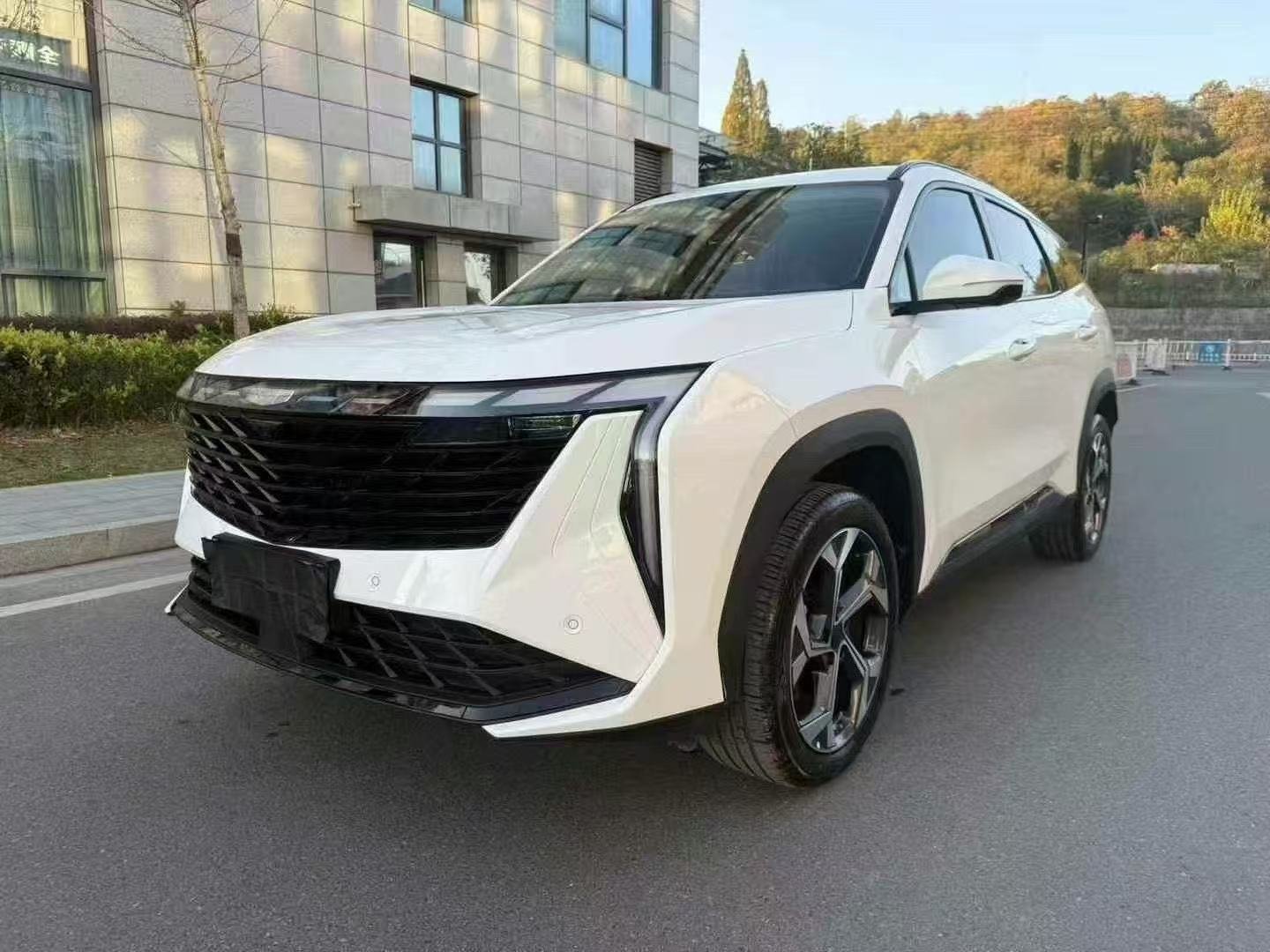 2024 Geely Starray