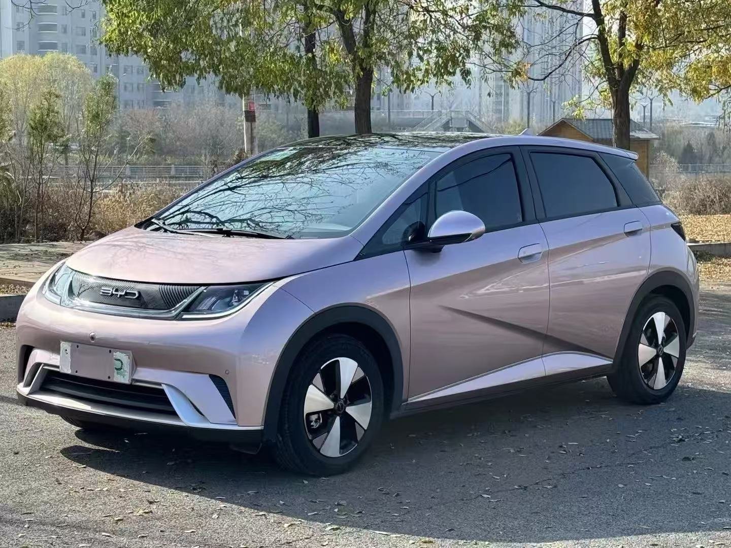 2023 BYD Dolphin
