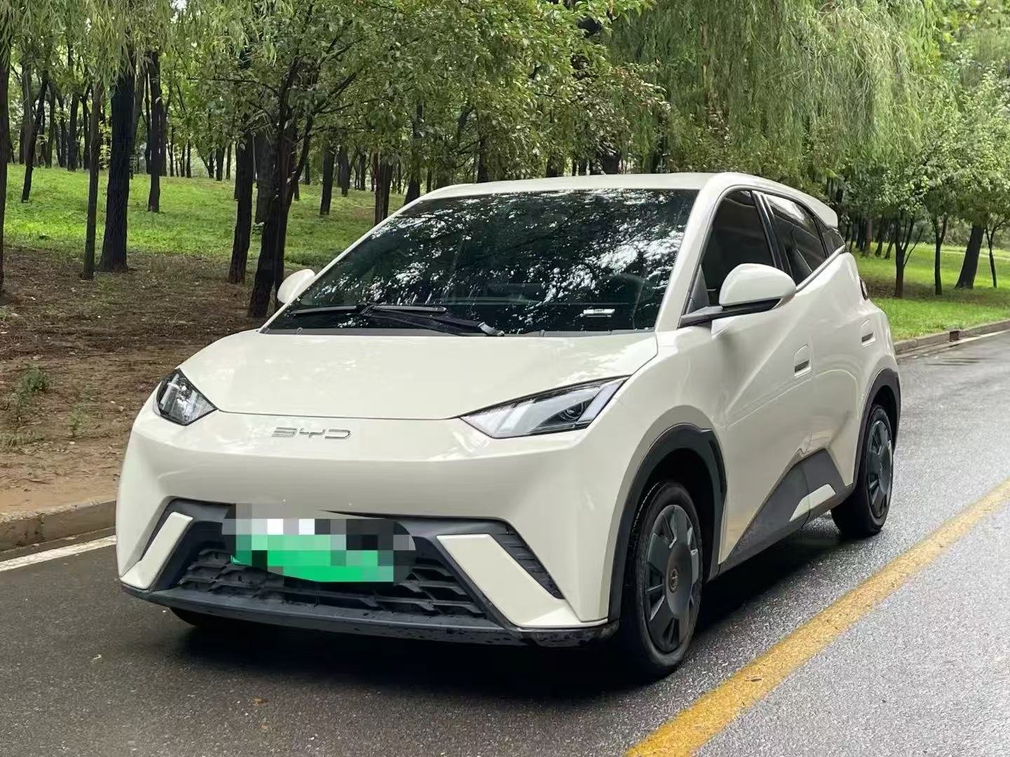 2024 BYD Seagull